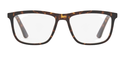 Læsebrille 6209